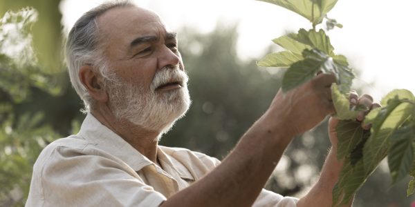 older-man-checking-crops-his-countryside-home-garden