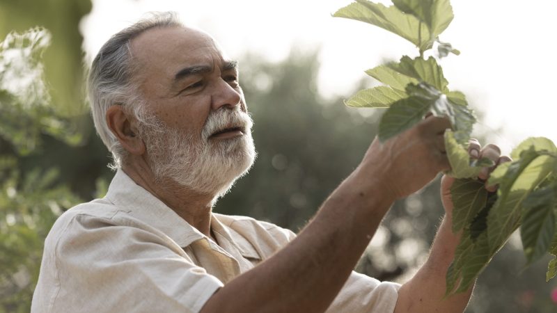older-man-checking-crops-his-countryside-home-garden